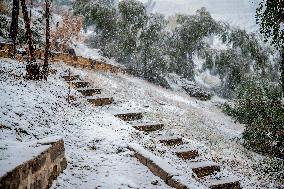 Snowfall In Kurdistan Region - Iraq