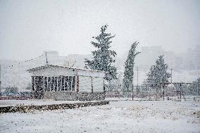 Snowfall In Kurdistan Region - Iraq