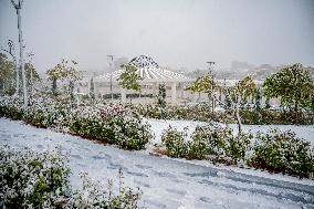 Snowfall In Kurdistan Region - Iraq