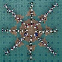 2026 New Year Celebration