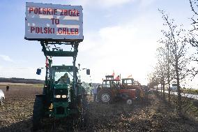 Farmers Protest EU Agreement With Mercosur - Poland