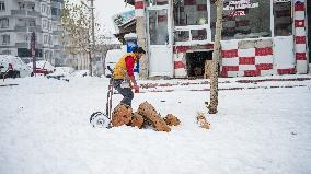 Children and Families Enjoy Snowfall in Gaziantep