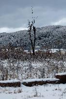 2nd anniv. of Noto Peninsula quake