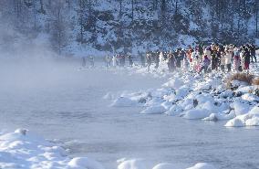 Alshan National Forest Park