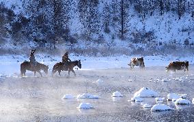 Alshan National Forest Park