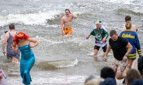 SWEDEN NEW YEAR'S DIVE