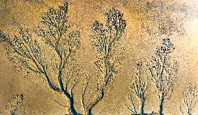 Tidal Tree Landscape