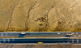 Tidal Tree Landscape