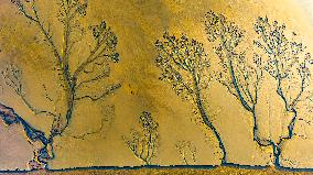 Tidal Tree Landscape