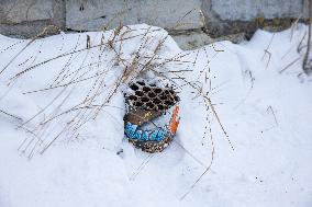 Garbage after the New Year's Eve celebrations