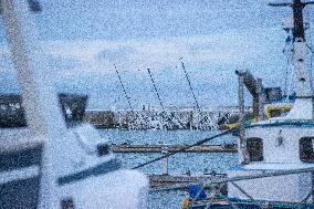 The aftermath of the storm