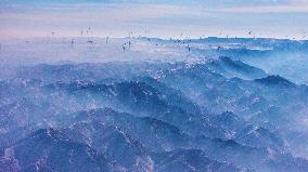 Wind Power Generation