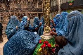 Daily Life of Women in Afghanistan