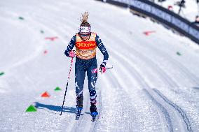 SPORT INVERNALI - Sci Nordico - 2026 Coop FIS Cross Country World Cup