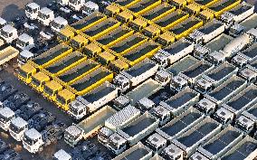 China Economic in 2025