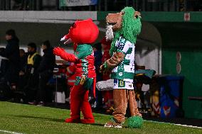 RUGBY - URC Rugby - Benetton Rugby vs Edinburgh Rugby