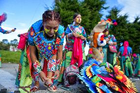 Carnaval de Negros y Blancos 2026 - Canto a la Tierra 'Chant to Earth'