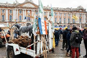 Action By The Inter-Union Group Of Farmers In Toulouse