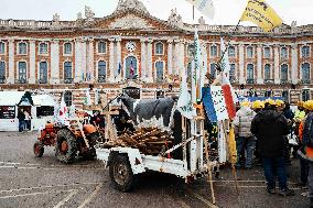 Action By The Inter-Union Group Of Farmers In Toulouse