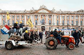 Action By The Inter-Union Group Of Farmers In Toulouse