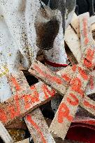 Action By The Inter-Union Group Of Farmers In Toulouse