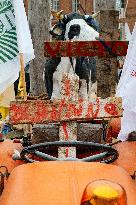 Action By The Inter-Union Group Of Farmers In Toulouse