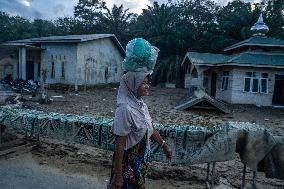 Leuser's Ecological Disasters - Indonesia