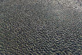 Lake Urmia Environmental Disaster - Iran