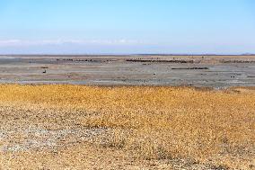 Lake Urmia Environmental Disaster - Iran