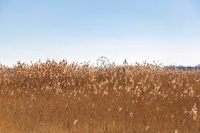 Lake Urmia Environmental Disaster - Iran