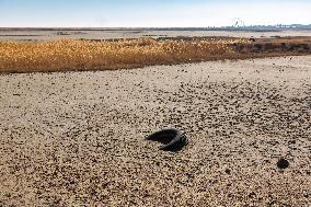 Lake Urmia Environmental Disaster - Iran