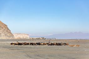 Lake Urmia Environmental Disaster - Iran