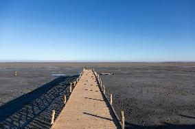 Lake Urmia Environmental Disaster - Iran