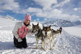 Illustration - Sled Dogs