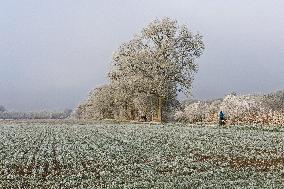 Frost Scenery in Civray-de-Touraine - France