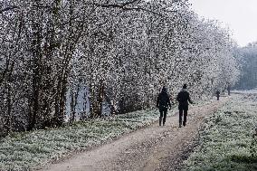 Frost Scenery in Civray-de-Touraine - France