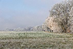 Frost Scenery in Civray-de-Touraine - France