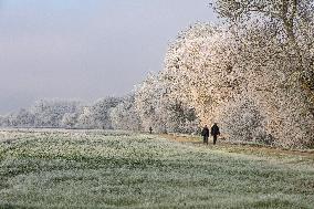 Frost Scenery in Civray-de-Touraine - France