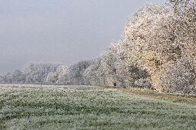 Frost Scenery in Civray-de-Touraine - France