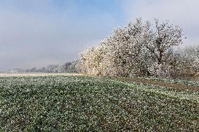 Frost Scenery in Civray-de-Touraine - France