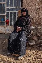 The Ancient Guardians of Bakhazner - Iraq