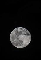 Wolf Moon Supermoon - Iraq
