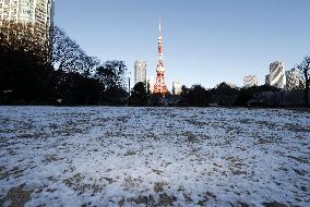 Snow in Tokyo