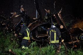 Tree Collapses Near Colosseum Due to Bad Weather - Rome