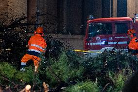 Tree Collapses Near Colosseum Due to Bad Weather - Rome