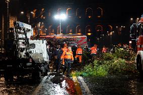 Tree Collapses Near Colosseum Due to Bad Weather - Rome