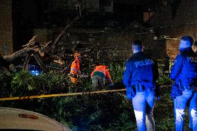 Tree Collapses Near Colosseum Due to Bad Weather - Rome