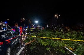 Tree Collapses Near Colosseum Due to Bad Weather - Rome