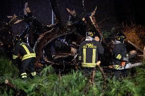 Tree Collapses Near Colosseum Due to Bad Weather - Rome