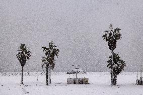 Heavy Snow Covers Beach On Epiphany - Rimini